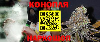 шишки Пугачёв