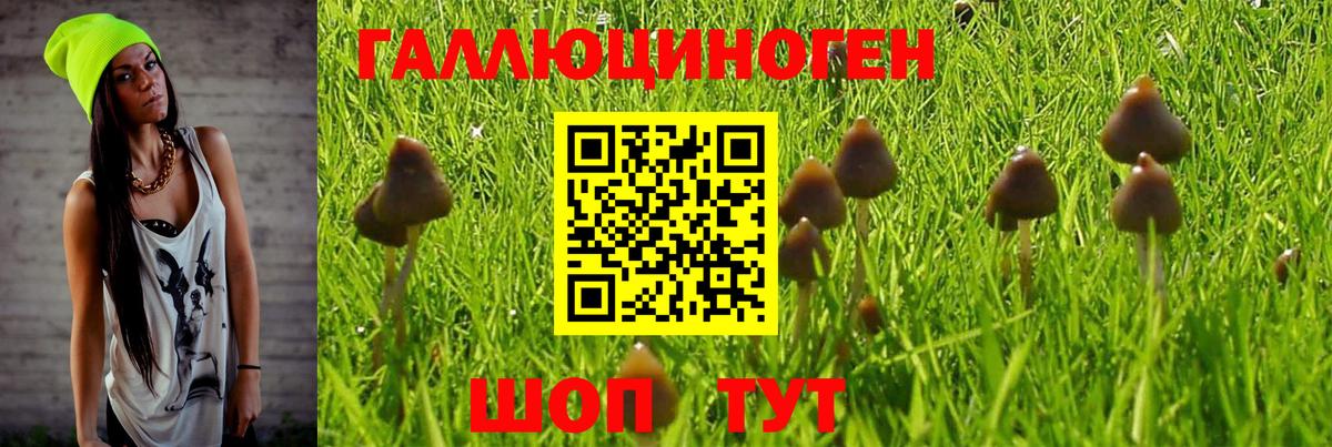 Галлюциногенные грибы Magic Shrooms Стрежевой
