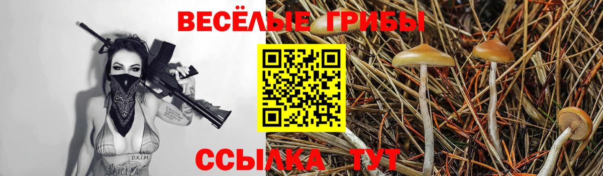 Стрежевой  Галлюциногенные грибы MAGIC MUSHROOMS  Вход с VPN 